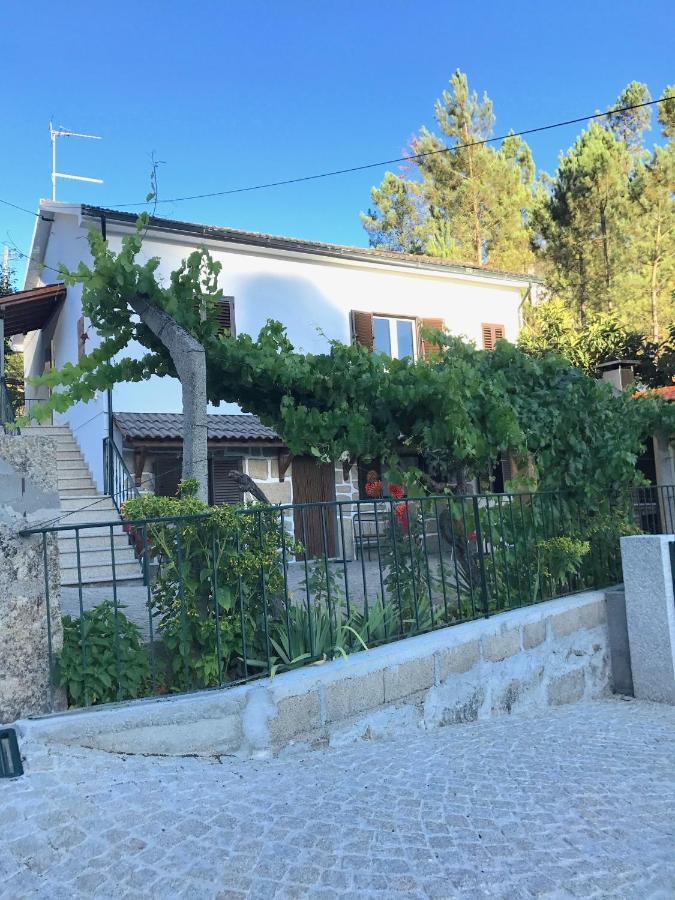 Апартаменти Casa Da Ponte Velha Термас-де-Сан-Педру-ду-Сул Номер фото